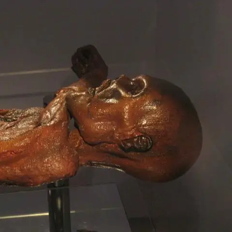 Как рассчитывается средний показатель по бейсболу?