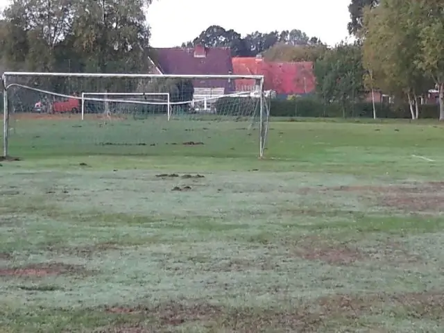 Как вы занимаетесь сайдпином в настольном теннисе?