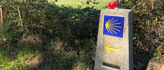 Какой длины должны быть доски для теста?