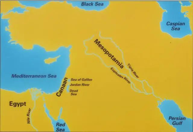 Когда концепция расы возникла в западном мире?