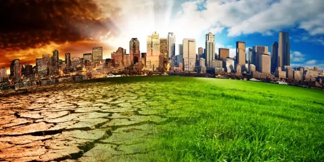 Как чрезмерная охота влияет на окружающую среду?