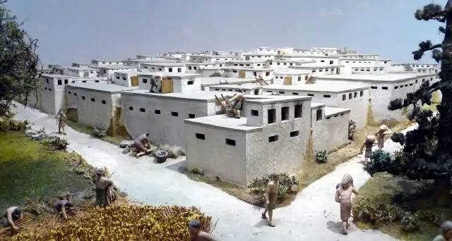 В каких домах жили мивоки?