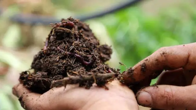 Как сделать удобрение, богатое азотом?