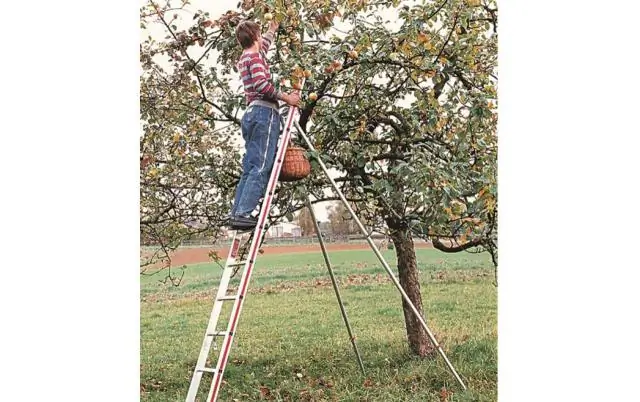 Какая самая лучшая телескопическая лестница?