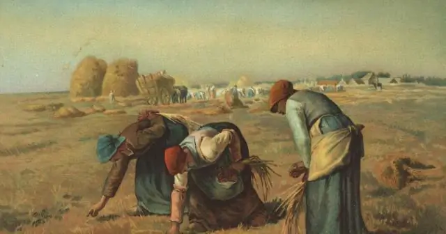 Какие характерные черты муссонного типа климата?