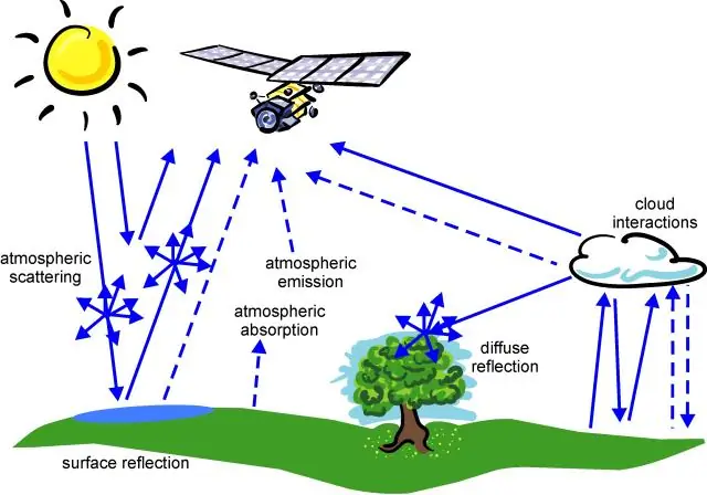 Что такое земной квадрупедализм?