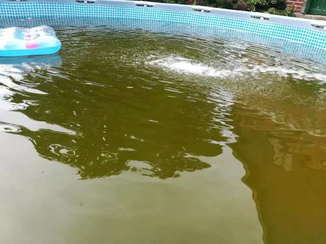 Какой бассейн хорошего размера для семьи?