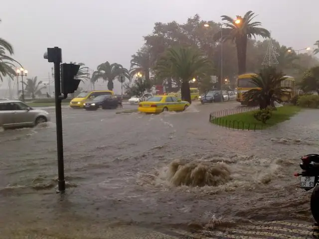Был ли когда-нибудь в Санта-Круз снег?