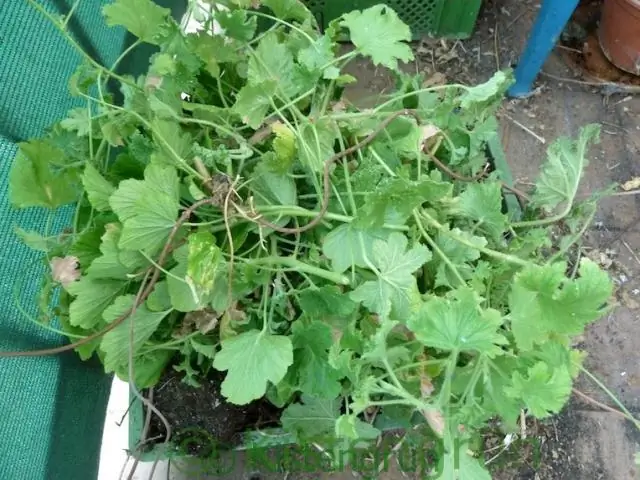 Почему у меня такое низкое давление воды на открытом воздухе?