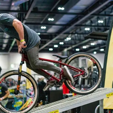 Кто выиграл Мировую серию в 1919 году?