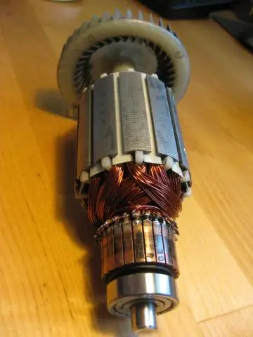 Как избавиться от фекалий летучих мышей?