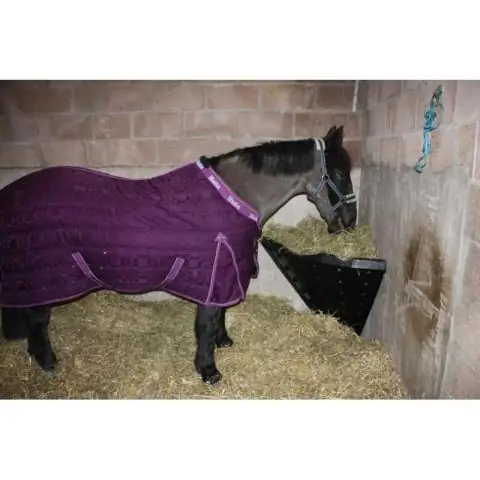 Безопасна ли высокопрочная проволока для лошадей?