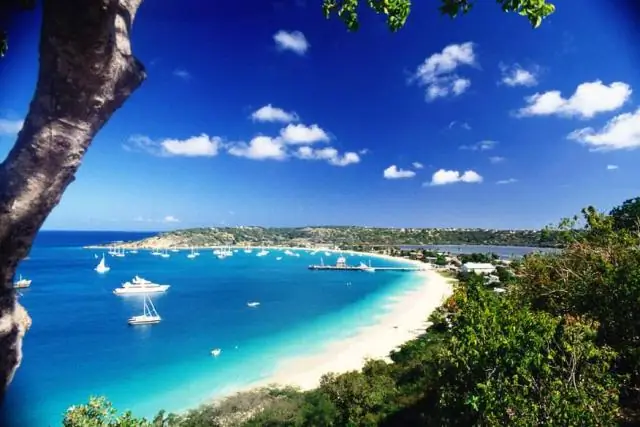 Почему приманки для уток такие дорогие?