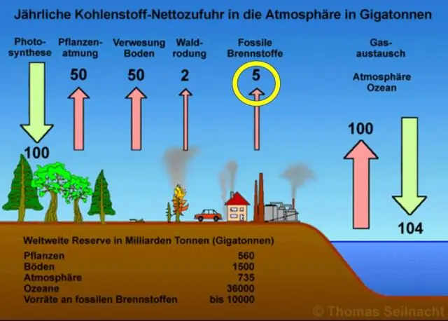 Что такое эффект банковской подушки?