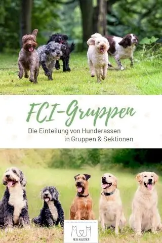 Какое сокращение означает гонка?