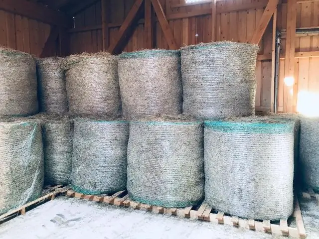 Сколько весит квадратный тюк сена?