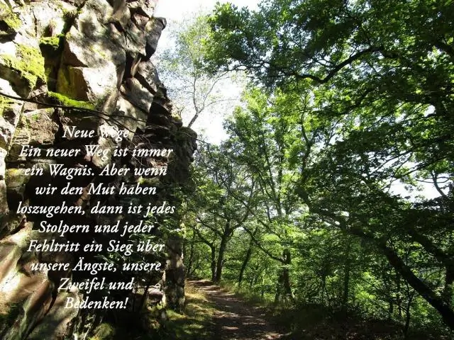 Что такое анаболический путь?