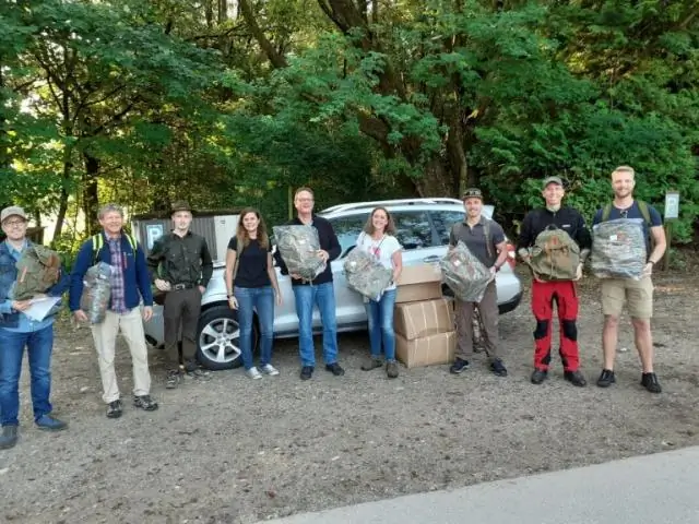 Сколько прыжков в охотничьем курсе?