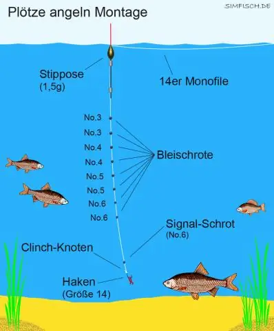 Что такое поводковая леска в рыбалке?