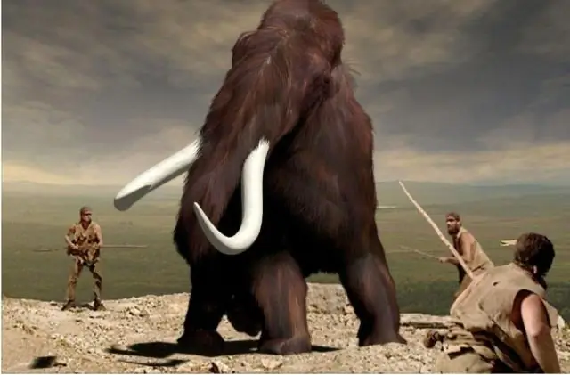 Когда Мамонт закрылся?