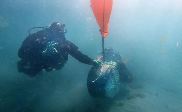 Когда акваланг стал популярным?