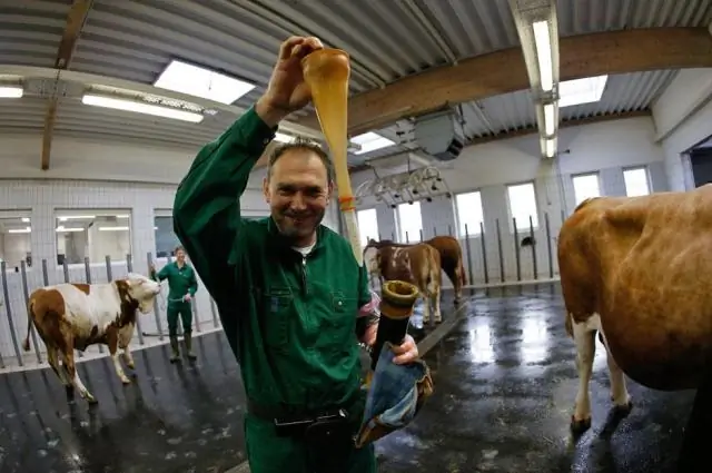 Как добраться до Коровьего дворца?