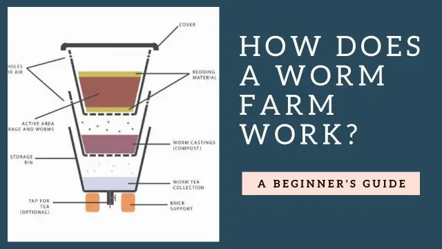 Как работает червячная ферма?