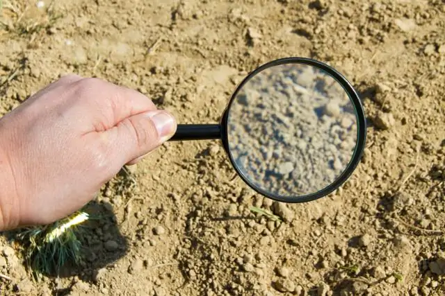 Есть ли в почве азот?