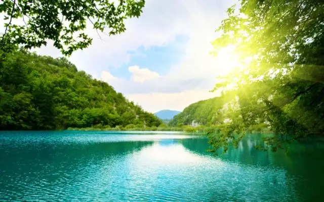 Почему природа так важна для синтоизма?