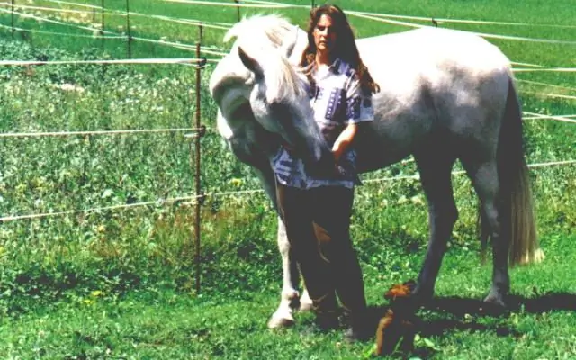 Все четыре ноги лошади отрываются от земли?