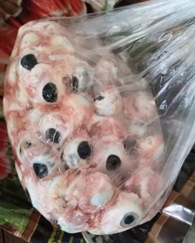 Как выглядит scaup?