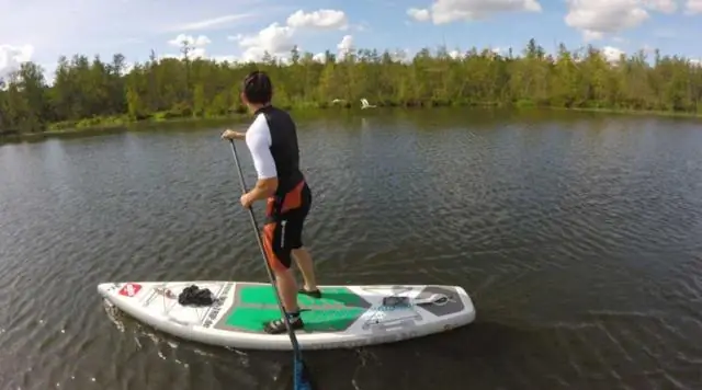 Есть ли ограничение по размеру сома во Флориде?