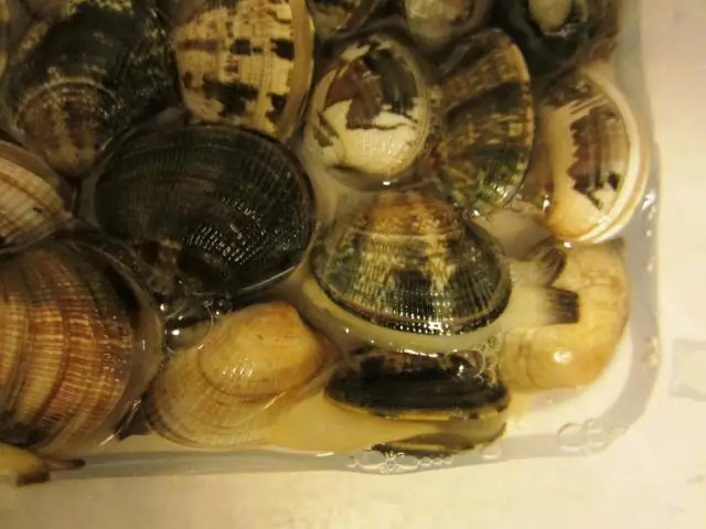 Как убрать моллюсков из продуктового магазина?