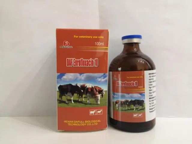 Что вызывает сальмонеллу лошади?