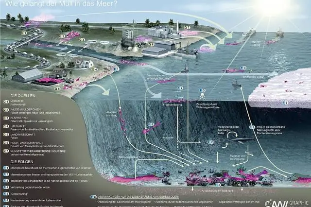 Какой тип теплопередачи ответственен за образование морского бриза и наземного бриза?