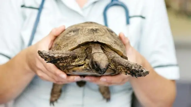 Как транспортируются шарнирные лестницы?