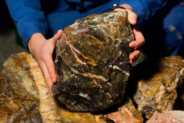 Для чего используется альгицид?