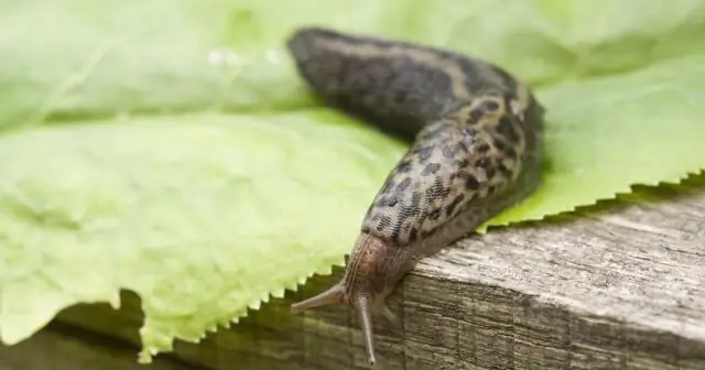 Как получить герметик из пистолета для герметика?