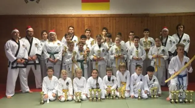 Когда был создан Тан Су До?