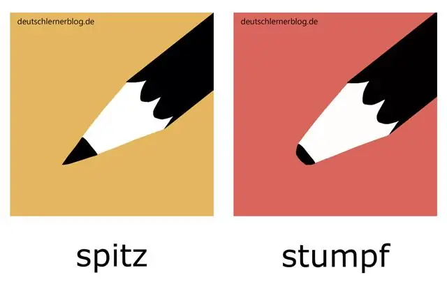 Что значит тупой как пень?