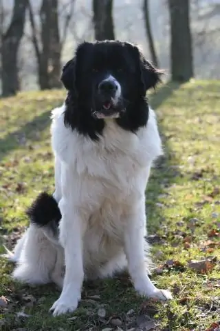 Как узнать, привязано ли седло?