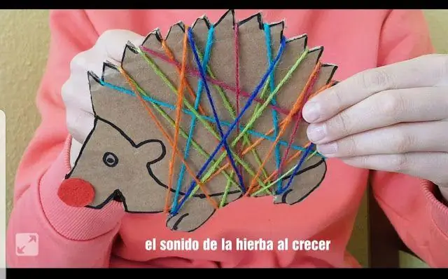 Как вы объясните зрительно-моторную координацию?