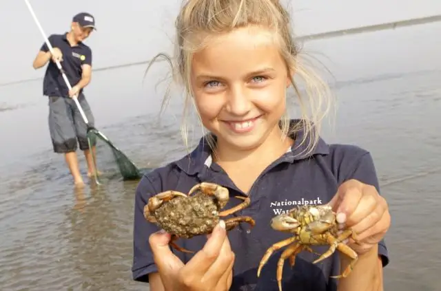 Что вы носите под зимним комбинезоном?