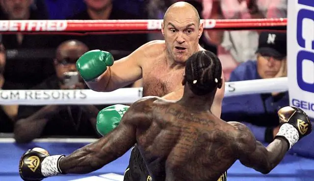 У кого лучший боксерский рекорд всех времен?