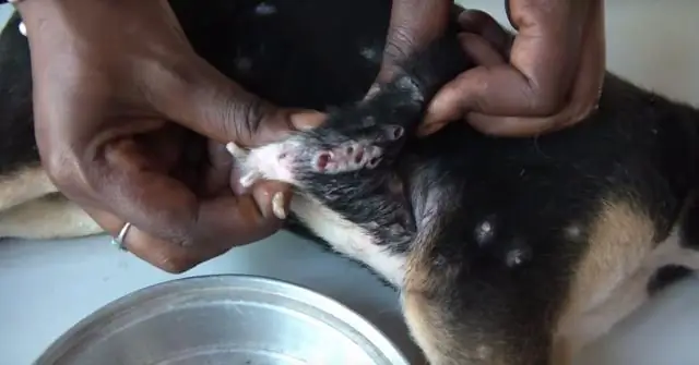 Как установить джиг-крючок?