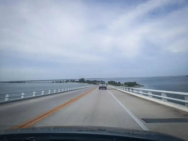 Можно ли поохотиться на лисиц во Флориде?