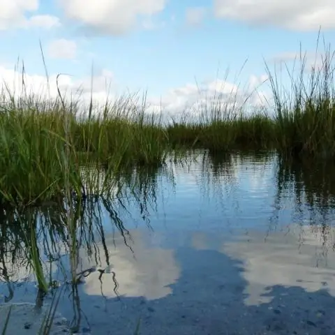 Требуется ли водная лицензия в Северной Каролине?