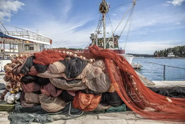 Вам нужна лицензия на подводную охоту?