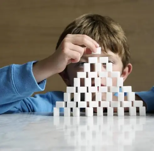 Сколько калорий должен есть баскетболист?