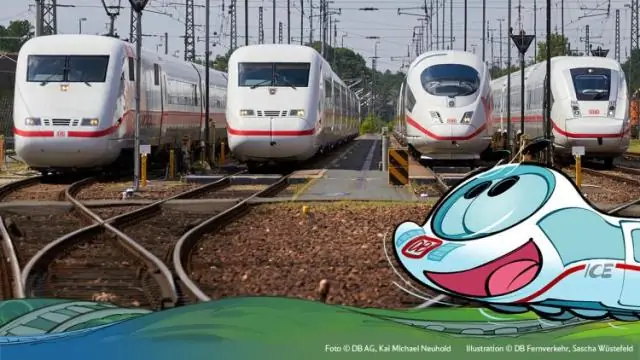 Сколько взводов в винтовке морской пехоты?